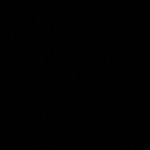 Meet your Posher, Kameron